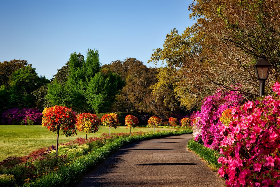 bellingrath-gardens-alabama-landscape-scenic-158028-158028 A scenic outdoor garden with vibrant floral displays, perfect for backgrounds or wallpapers.
