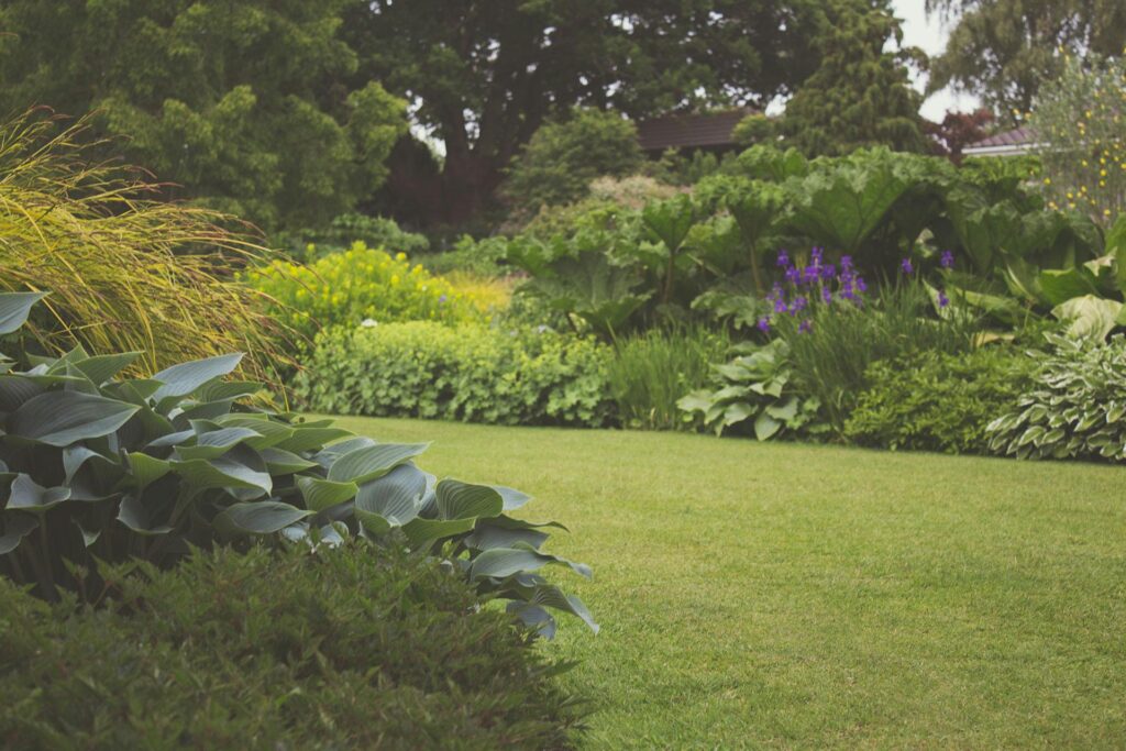 garden-7283 A lush backyard garden with vibrant plants and manicured lawn, ideal for a relaxing outdoor space.