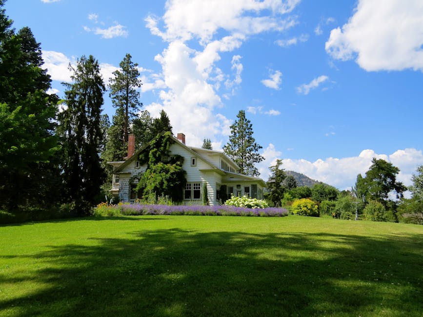 pexels-photo-226407-226407 Idyllic countryside house surrounded by lavender and greenery under a bright blue sky.